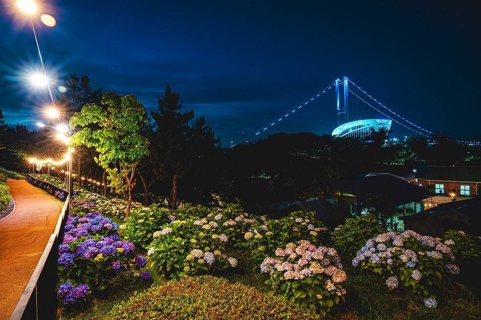 장생포 수국 페스티벌 3