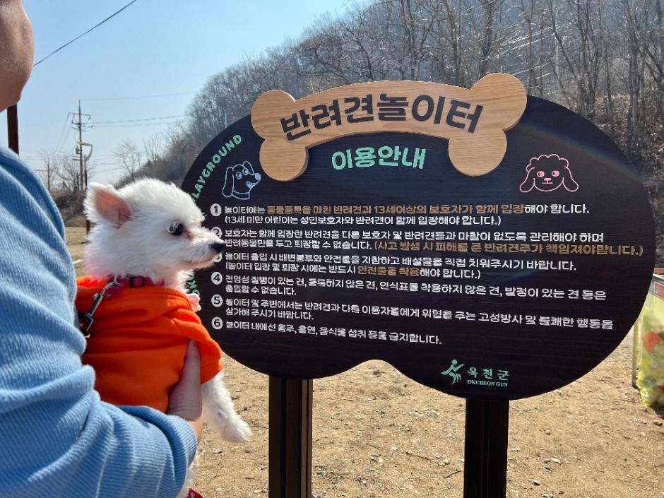 놀이터에서 휴식을 취하는 강아지