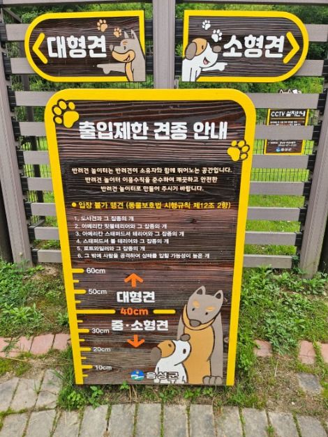 강아지들이 뛰어노는 모습