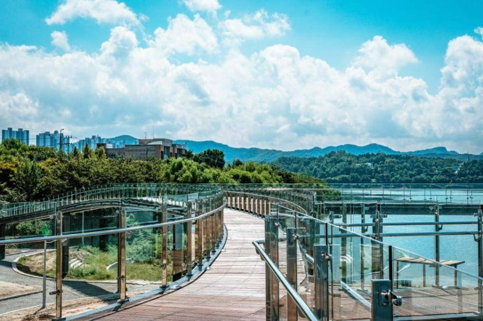근화수변 문화광장숲 야경