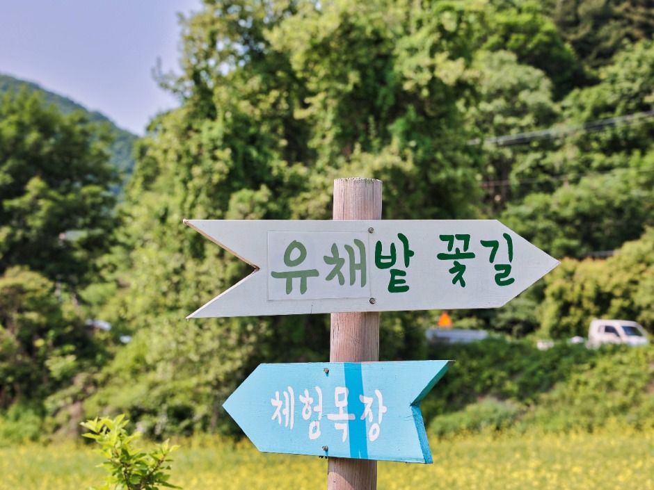 사계절 썰매장