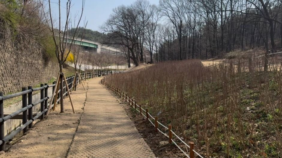 숲길을 따라 걷는 여유