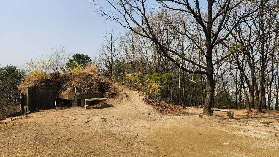 숲길 중간에 만나는 하늘