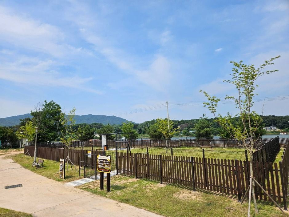 삼성 반려견 놀이터