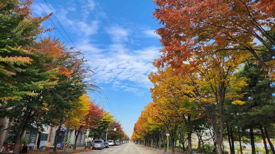 정왕둘레길 함줄도시농업공원