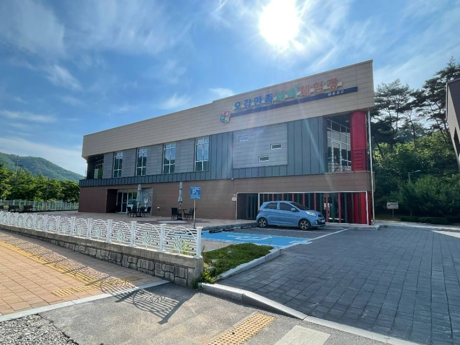 오감만족 새싹체험장 내부 모습