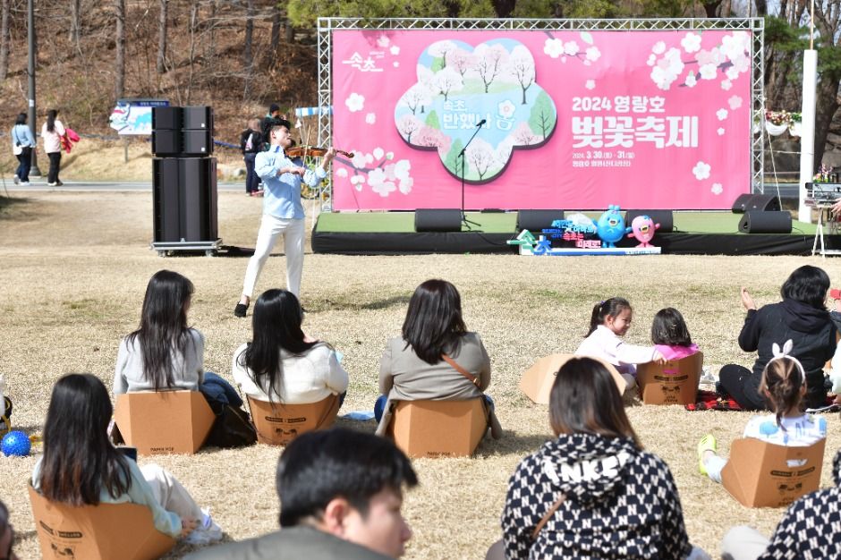 영랑호 벚꽃축제 야경