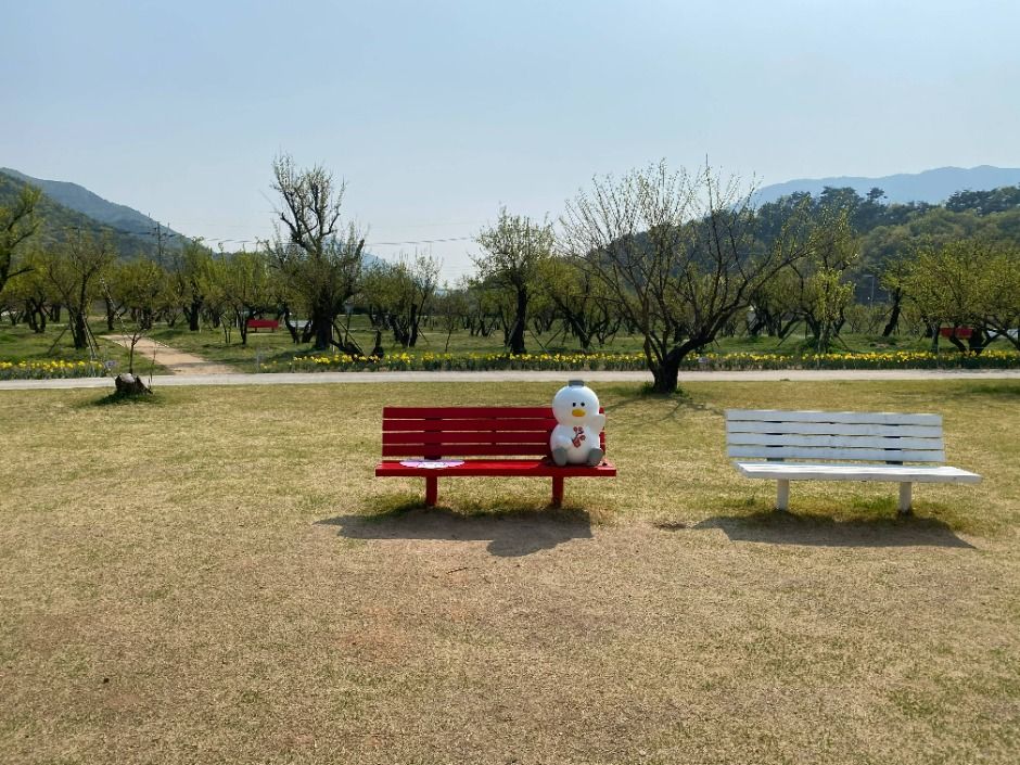 매화공원 풍경