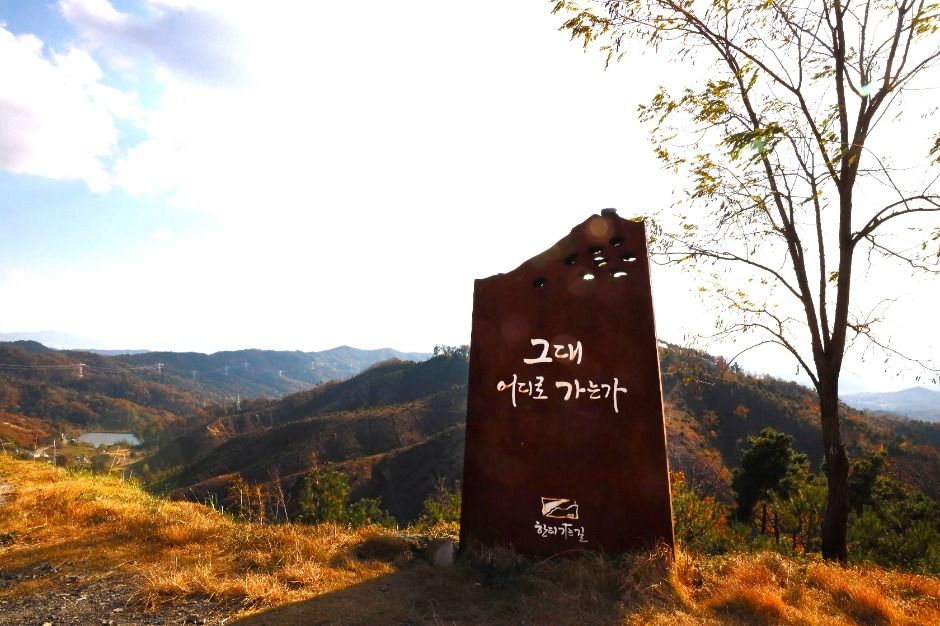 한티가는길 숲길