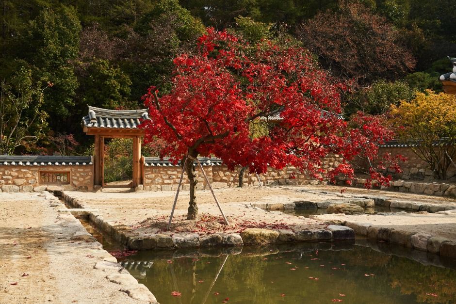 메덩골정원의 아름다운 정원 풍경