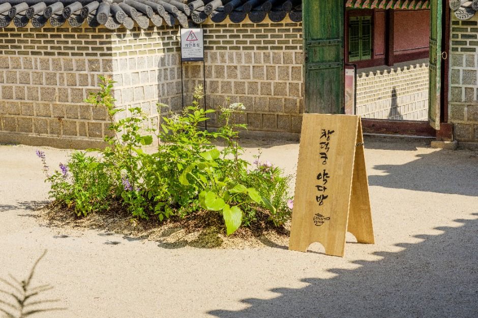 창덕궁 약다방